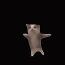 spookybear01