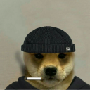 alorleo#5264's avatar