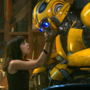cj_bumblebee