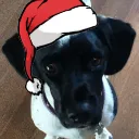 cairdcoinheringaahing