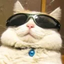 gyuniku avatar