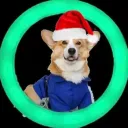 mysqli
