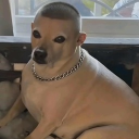 avatar Jarhead-MarceI