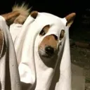 ghostabb