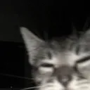 goldenyt