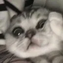 0xanjel