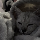 avatar 𝙬𝙖𝙨𝙨𝙖𝙗𝙞𝙞