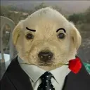erikluis246 avatar