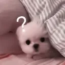 nkssssss7