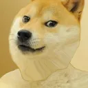 doge avatar