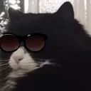 drqaffrs