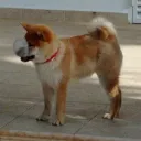 rauljm6_