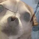 upasanaa