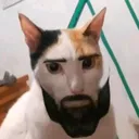 srmarticus
