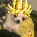carlos_f29