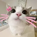 beybeycutie