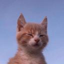 https://cdn.discordapp.com/avatars/752912973235880037/f3a94329d1c823b365352a48ebbc8290.jpg?size=128