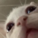rxwmez