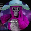 saphe3rvr2