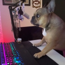 avatar girlfromthecave