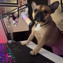 avatar girlfromthecave