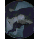 avatar 🌷𝑁𝑖𝑐𝑜𝑙𝑒