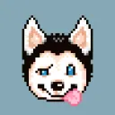 squarehusky