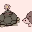 terriwin
