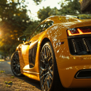 avatar Mangoolli_1516