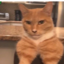 pietrofort4