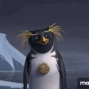 narwhalow