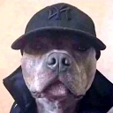WailyakMVK member profile picture