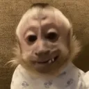 samaclub
