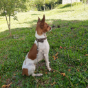 jhon333 member profile picture