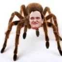 .quentintarantulino