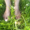 fertilefootprints