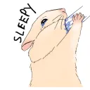 sleepy9580