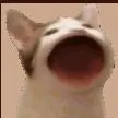 flamango2082