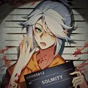 solmity