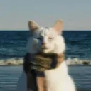 notdimension