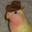 gonb__