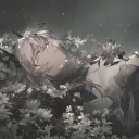 avatar SoftMelancholy