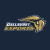 gallaudetim8806