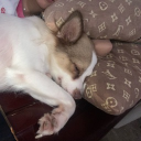 avatar L.A'S  GF ッ