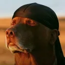 luvdro