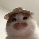 bubibun