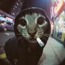 sukyzaur