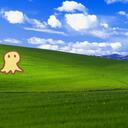ptnsn