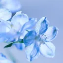 mick_thx