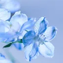 mick_thx
